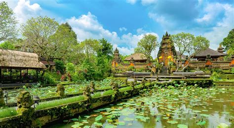 best money exchange ubud|The Bali Bible .